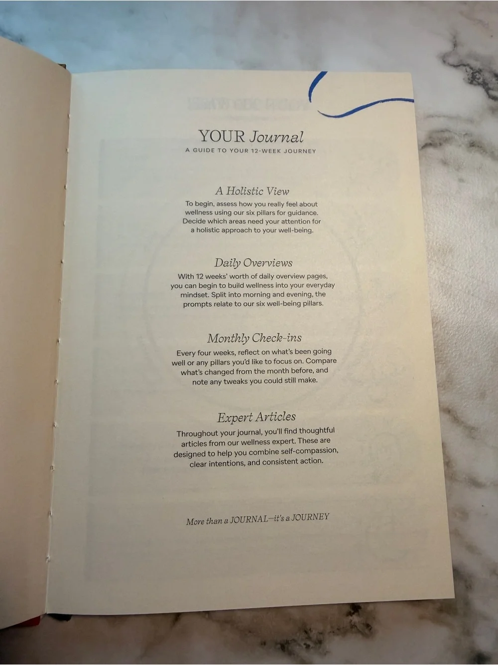 Anthropologie Papier Pause Wellness Journal - Hardcover Bows